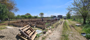 Armature et poutres de fondation pour une maison de plain-pied de 130 m2 dans le département d'Ilfov, à Snagov thumbnail