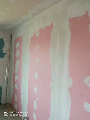 Maison avec structure en acier, ponçage et enduisage des murs intérieurs et des plafonds thumbnail