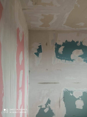 Maison avec structure en acier, ponçage et enduisage des murs intérieurs et des plafonds thumbnail
