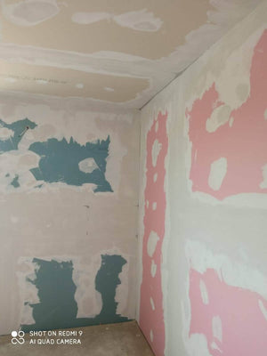 Maison avec structure en acier, ponçage et enduisage des murs intérieurs et des plafonds thumbnail