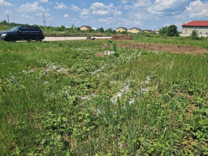 Construction de maison dans le département d'Ilfov, traçage et excavation de la fondation thumbnail