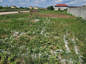 Construction de maison dans le département d'Ilfov, traçage et excavation de la fondation thumbnail