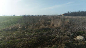 Élévation et coulage de la fondation pour une maison clé en main à Domnesti thumbnail