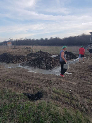 Élévation et coulage de la fondation pour une maison clé en main à Domnesti thumbnail