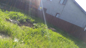 Construction de la fondation pour un espace commercial, projet de structure métallique légère thumbnail