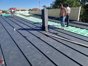 Installation de panneaux de fibrociment pour les murs et construction de la toiture d'une maison dans la commune de Snagov thumbnail