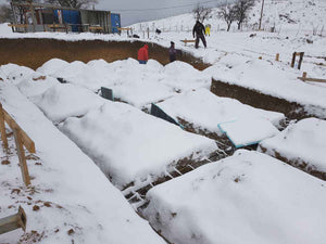 Plantation de poutres dans la tranchée pour un projet de restaurant de 620 mètres carrés dans le département de Brasov thumbnail