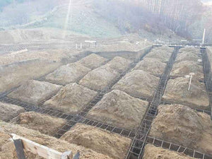 Plantation de poutres dans la tranchée pour un projet de restaurant de 620 mètres carrés dans le département de Brasov thumbnail