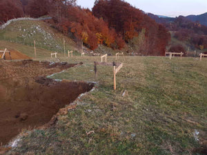 Excavation mécanisée pour la fondation du restaurant, projet de 620 m² à Brasov thumbnail