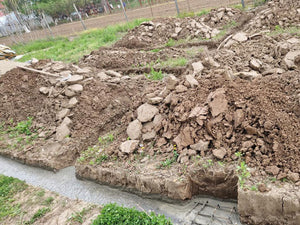 Excavation mécanisée et coulage de la semelle de fondation pour une maison de 130 m2 dans le département d'Ilfov, à Snagov thumbnail