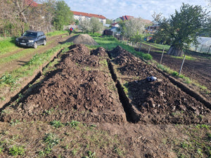 Excavation mécanisée et coulage de la semelle de fondation pour une maison de 130 m2 dans le département d'Ilfov, à Snagov thumbnail