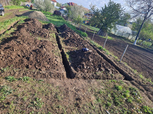 Excavation mécanisée et coulage de la semelle de fondation pour une maison de 130 m2 dans le département d'Ilfov, à Snagov thumbnail