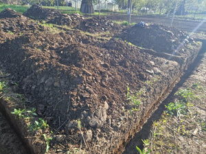 Excavation mécanisée et coulage de la semelle de fondation pour une maison de 130 m2 dans le département d'Ilfov, à Snagov thumbnail