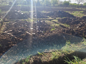 Excavation mécanisée et coulage de la semelle de fondation pour une maison de 130 m2 dans le département d'Ilfov, à Snagov thumbnail