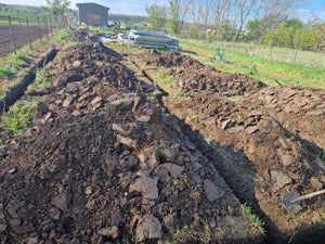 Excavation mécanisée et coulage de la semelle de fondation pour une maison de 130 m2 dans le département d'Ilfov, à Snagov thumbnail