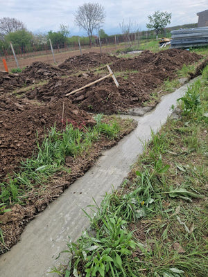 Excavation mécanisée et coulage de la semelle de fondation pour une maison de 130 m2 dans le département d'Ilfov, à Snagov thumbnail