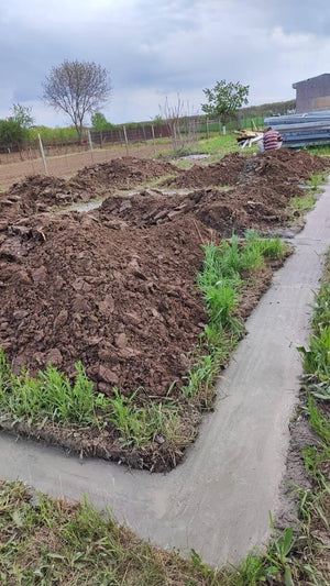 Excavation mécanisée et coulage de la semelle de fondation pour une maison de 130 m2 dans le département d'Ilfov, à Snagov thumbnail