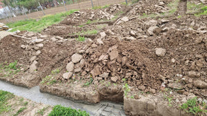 Excavation mécanisée et coulage de la semelle de fondation pour une maison de 130 m2 dans le département d'Ilfov, à Snagov thumbnail