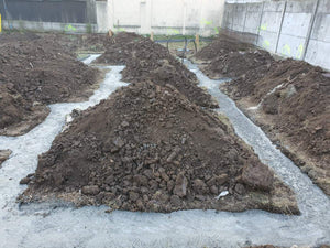Traçage des axes de construction, excavation et coulage de la semelle de fondation d'une maison de 198 mètres carrés thumbnail