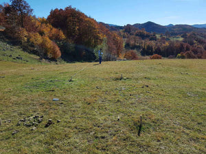 Traçage de la fondation pour un projet de restaurant de 620 mètres carrés dans le département de Brasov thumbnail