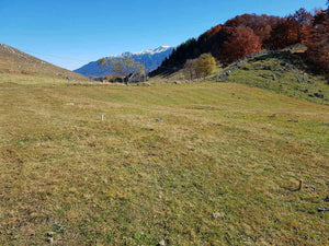 Traçage de la fondation pour un projet de restaurant de 620 mètres carrés dans le département de Brasov thumbnail