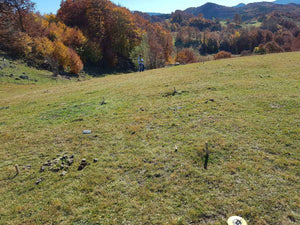 Traçage de la fondation pour un projet de restaurant de 620 mètres carrés dans le département de Brasov thumbnail
