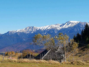 Traçage de la fondation pour un projet de restaurant de 620 mètres carrés dans le département de Brasov thumbnail