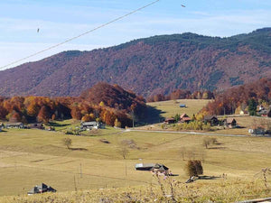 Traçage de la fondation pour un projet de restaurant de 620 mètres carrés dans le département de Brasov thumbnail