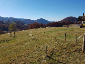 Traçage de la fondation pour un projet de restaurant de 620 mètres carrés dans le département de Brasov thumbnail
