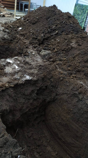 Traçage de l'excavation et mise en place de l'armature pour la fondation du projet de maison de 157 mètres carrés thumbnail