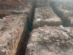 Traçage et excavation mécanisée de la fondation pour une maison sans étage dans le département d'Ilfov thumbnail
