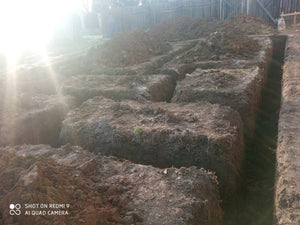 Traçage et excavation mécanisée de la fondation pour une maison sans étage dans le département d'Ilfov thumbnail